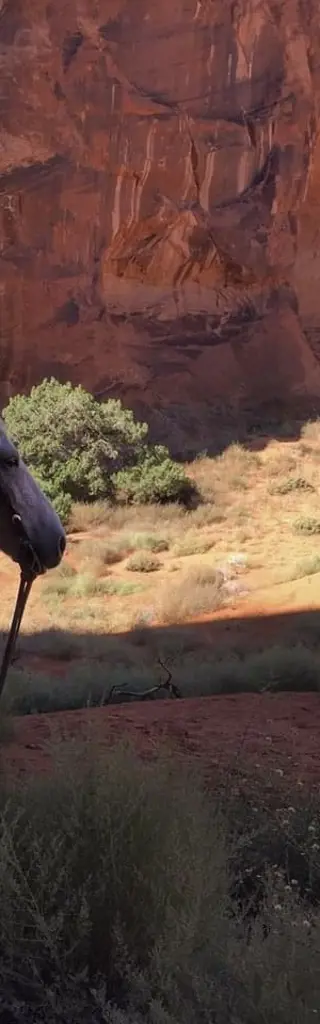 Roadtrip von Las Vegas nach Los Angeles